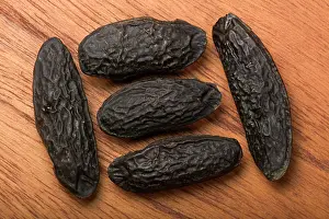 Odorata: Tonco bean / Tonquin bean - Seeds