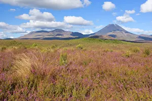 Perfectly: Tongariro National Park - volcanoes Mount Tongariro