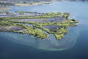 Channels: Tongariro River Delta
