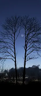 Venus: Tonight the moon adorned his Earthshine is held