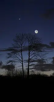 Venus: Tonight the moon adorned his Earthshine is held