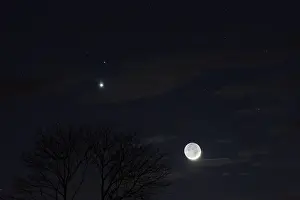 Venus: Tonight, the Moon has joined the duo formed by Venus