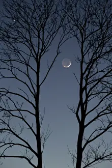 Venus: Tonight, the Moon has joined the duo formed by Venus