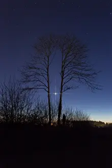 Venus: Tonight, the planets Venus (the brilliant star)