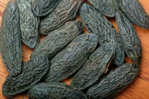 Odorata: Tonka bean - itIs known for fragrance
