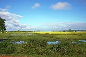 Angkor: Tonle Sap Lake, Siem Reap, Angkor, Siem