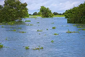 Rippled: Tonle Sap Lake, Siem Reap, Angkor, Siem