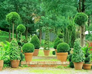 Topiary: Topiary garden Gembrook