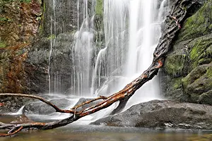 Brooks: Torc waterfall of the Owengarriff River, Killarney