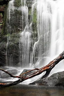 Brooks: Torc waterfall of the Owengarriff River, Killarney