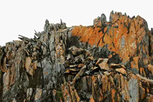 Cracked: Torgersen Island, Antarctica