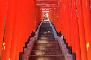 Steps: Torii Gate tunnel at Hie-Jinja Shinto Shrine, Tokyo, Japan