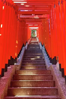 Steps: Torii Gate tunnel at Hie-Jinja Shinto Shrine, Tokyo, Japan