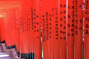 Steps: Torii Gate tunnel at Hie-Jinja Shinto Shrine, Tokyo, Japan
