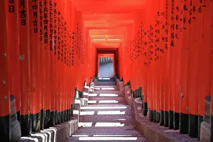 Steps: Torii Gate tunnel at Hie-Jinja Shinto Shrine, Tokyo, Japan