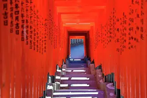 Steps: Torii Gate tunnel at Hie-Jinja Shinto Shrine, Tokyo, Japan