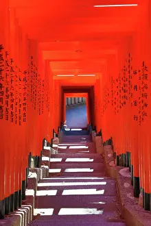 Steps: Torii Gate tunnel at Hie-Jinja Shinto Shrine, Tokyo, Japan