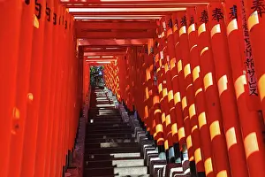 Steps: Torii Gate tunnel at Hie-Jinja Shinto Shrine, Tokyo, Japan