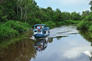 Sekonyer: tourist boat on Sekonyer river with forest - Tanjung