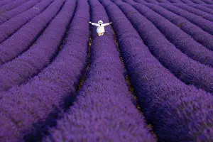 Haute: Tourist in Lavender (lavandin) fields, Valensole