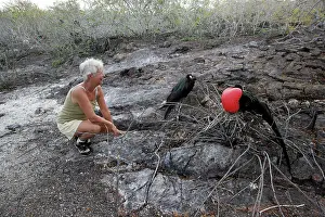 Frigatebirds: Tourist with a pair of Great Frigatebirds
