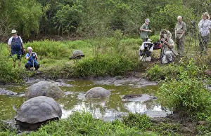 Destinations: Tourist Photographing Giant Tortoises