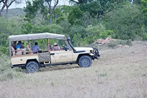 Trucks: Tourists game viewing from vehicles
