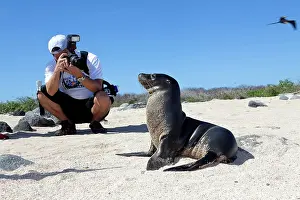 Sealion: Tourists photographing Galapagos Sea Lion - North Seymour Is