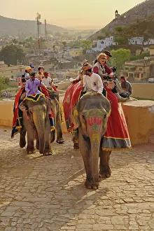 Citadel: Tourists riding elephants up to Amber Fort