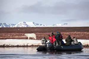 Zodiac: Tourists in Zodiac boat - photographing polar bear