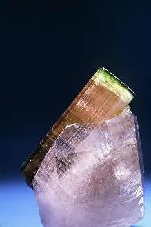 Fold: Tourmaline (elbaite)