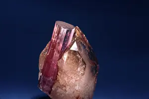 Fold: Tourmaline (elbaite) on quartz