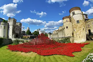 Ceramic: Tower of London