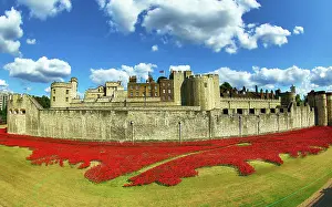 Ceramic: Tower of London