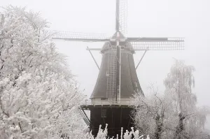 Rime: Tower mill, flourmill De Vlijt - Scenery with fog and rime