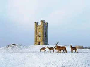 Broadway: Tower in snow