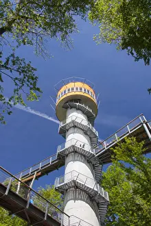 Viewing: Tower of the tree-top trail at the Hainich National
