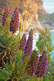 Julia: Towers of Jewels frame McWay Falls at Julia