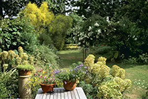 Tables: TOWN GARDEN - summer