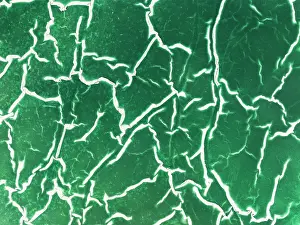 Toxicity: Detail of a toxic phosphogypsum waste pond in the