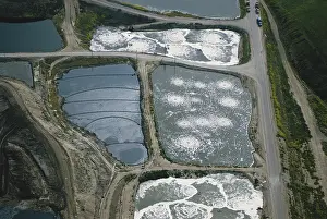 Dumping: Toxic Waste Dump