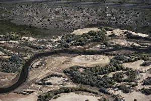 Dump: Toxic Waste Site