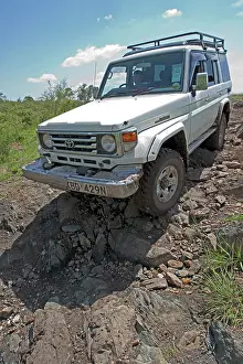 Cruiser: Toyota Cruiser 4x4 - driving down rocky gully