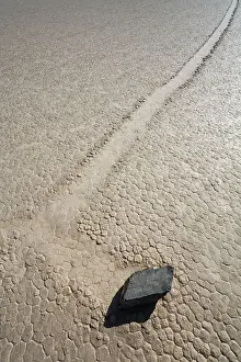 Created: Track created by one of the mysterious moving rocks