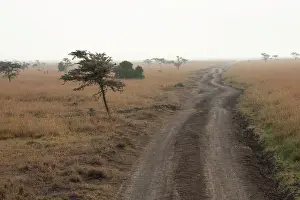 Pejeta: Track - Ol Pejeta Conservancy