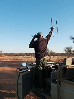 Foundation: Tracker - Radio tracking a Leopard at the Okonjima