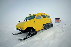 Snowmobile: Tracking Polar Bears