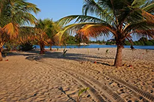 Cruise: Tracks along the beach on Placenia in Belize