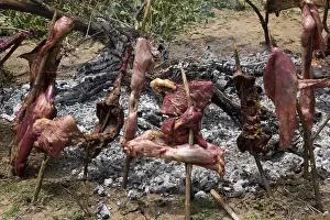 Peoples: Tracks of cow cooked in embers by the way Masai Tanzania