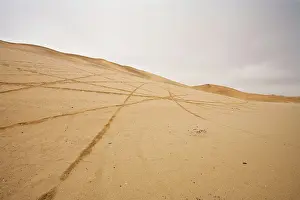 Scar: Tracks scar the dunes and Gravel Plains - Left by scramblers